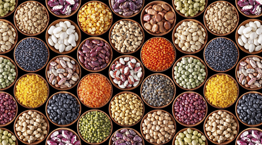Best Pulses Exporter in Germany – High-Quality Pulses from India by Jash Enterprises